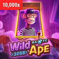 Hệ thống theo dõi hiệu suất chiến dịch của 456win chính thức, hiển thị số liệu thống kê chi tiết.