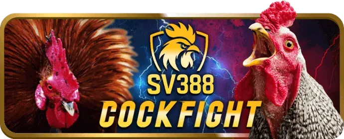 Điều khoản và điều kiện ưu đãi 456win chính thức