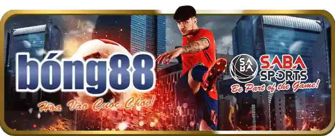 Cá cược thể thao trên ứng dụng 456win chính thức